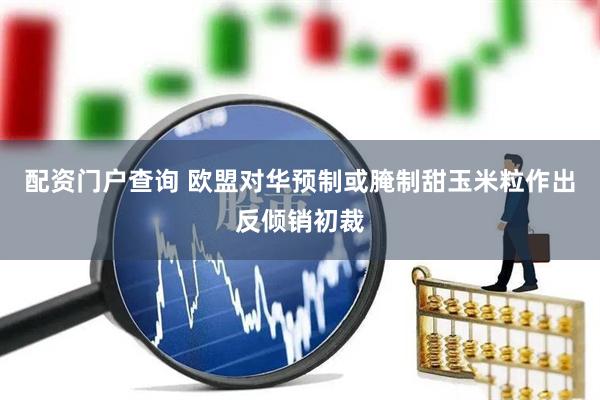配资门户查询 欧盟对华预制或腌制甜玉米粒作出反倾销初裁
